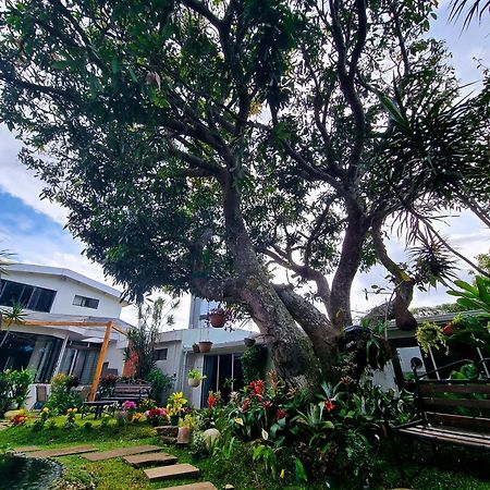 Casa Jardin Del Mango Otel San José Dış mekan fotoğraf