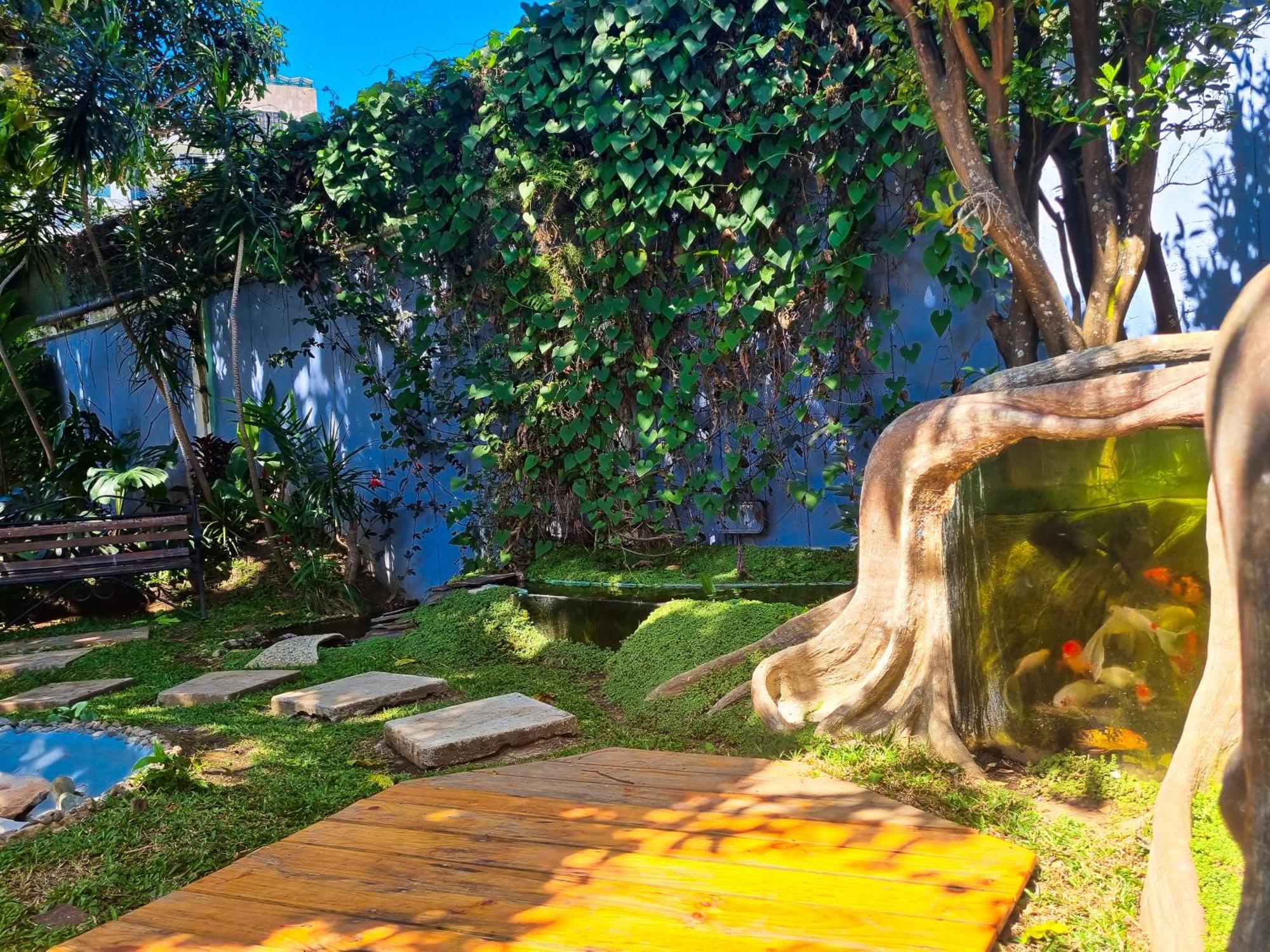 Casa Jardin Del Mango Otel San José Dış mekan fotoğraf