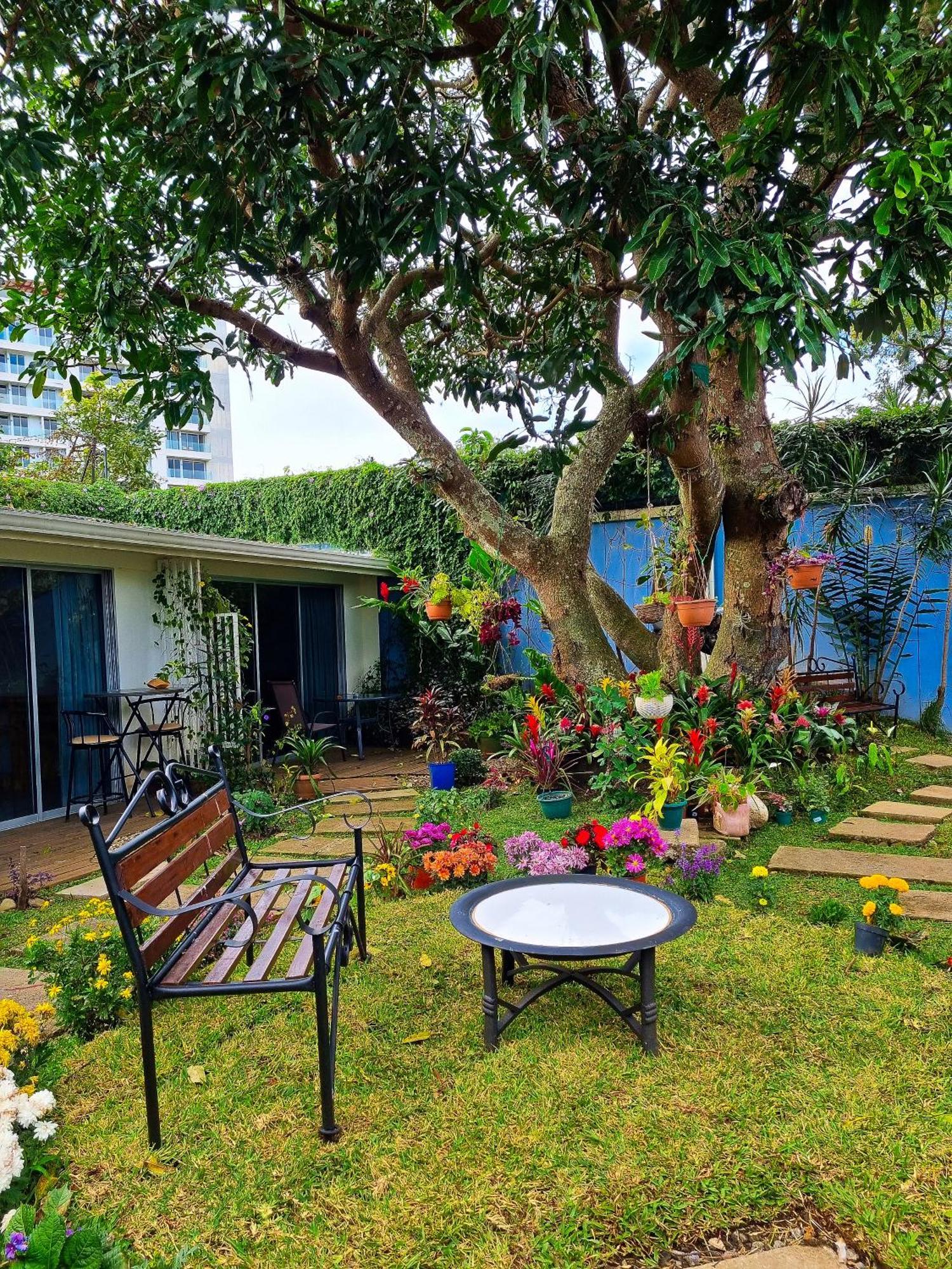 Casa Jardin Del Mango Otel San José Dış mekan fotoğraf